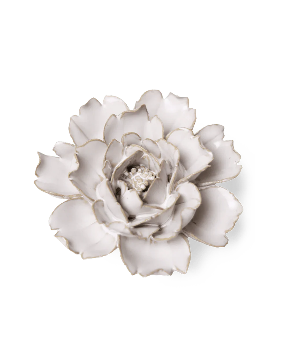 Rose - Ivory