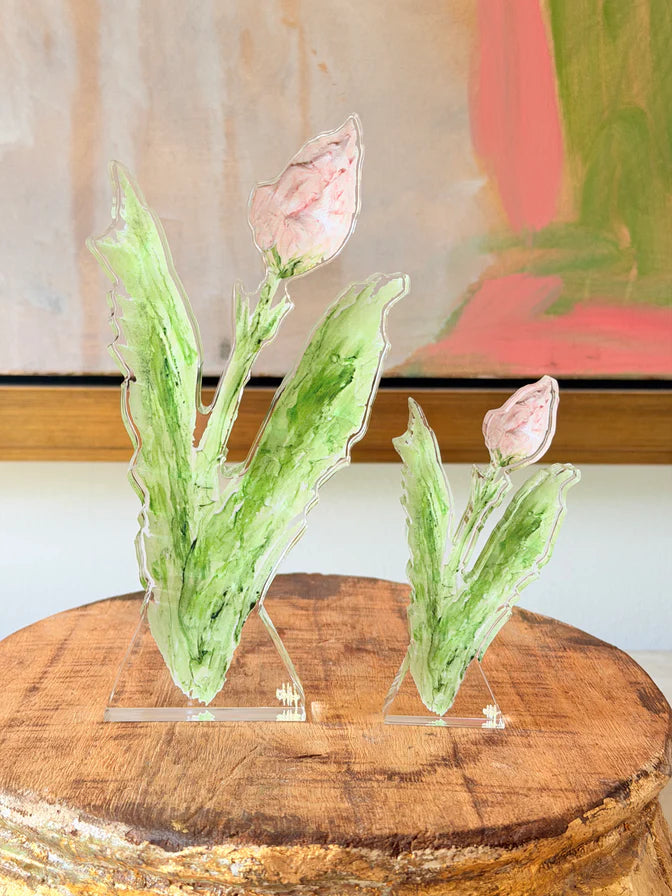 DHH Acrylic Tulip