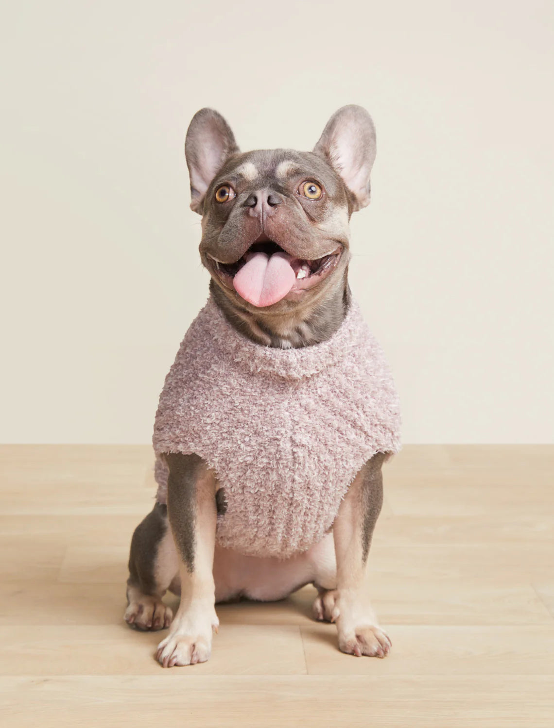 CC Ribbed Pet Sweater