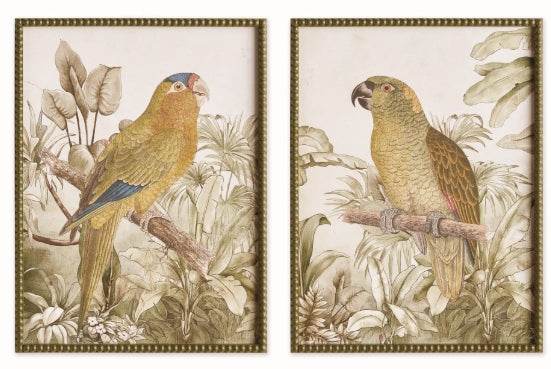 Tropical Parrot Print