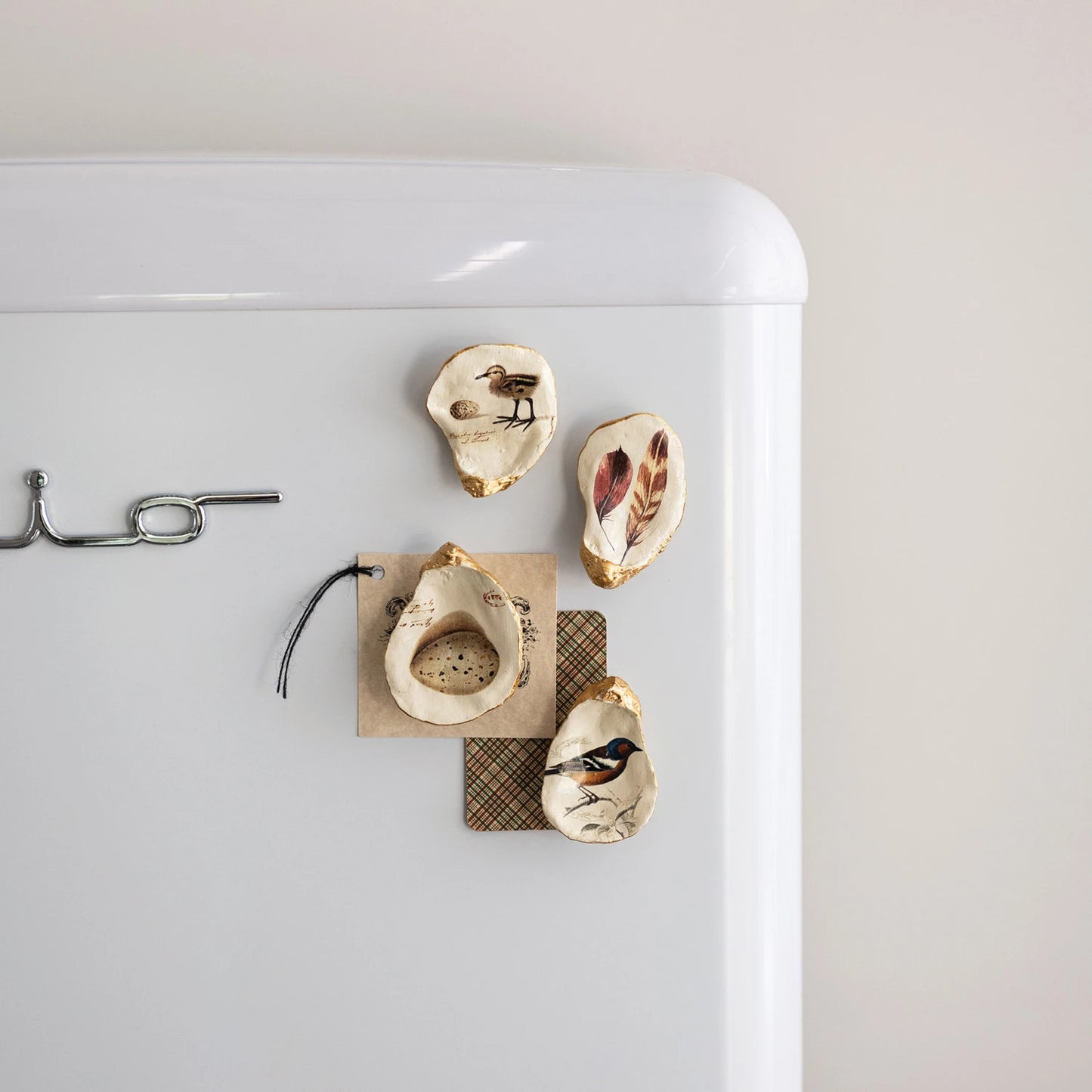 Oyster Shell Magnets S/4