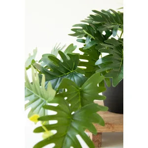 Artificial Mini Philodendron