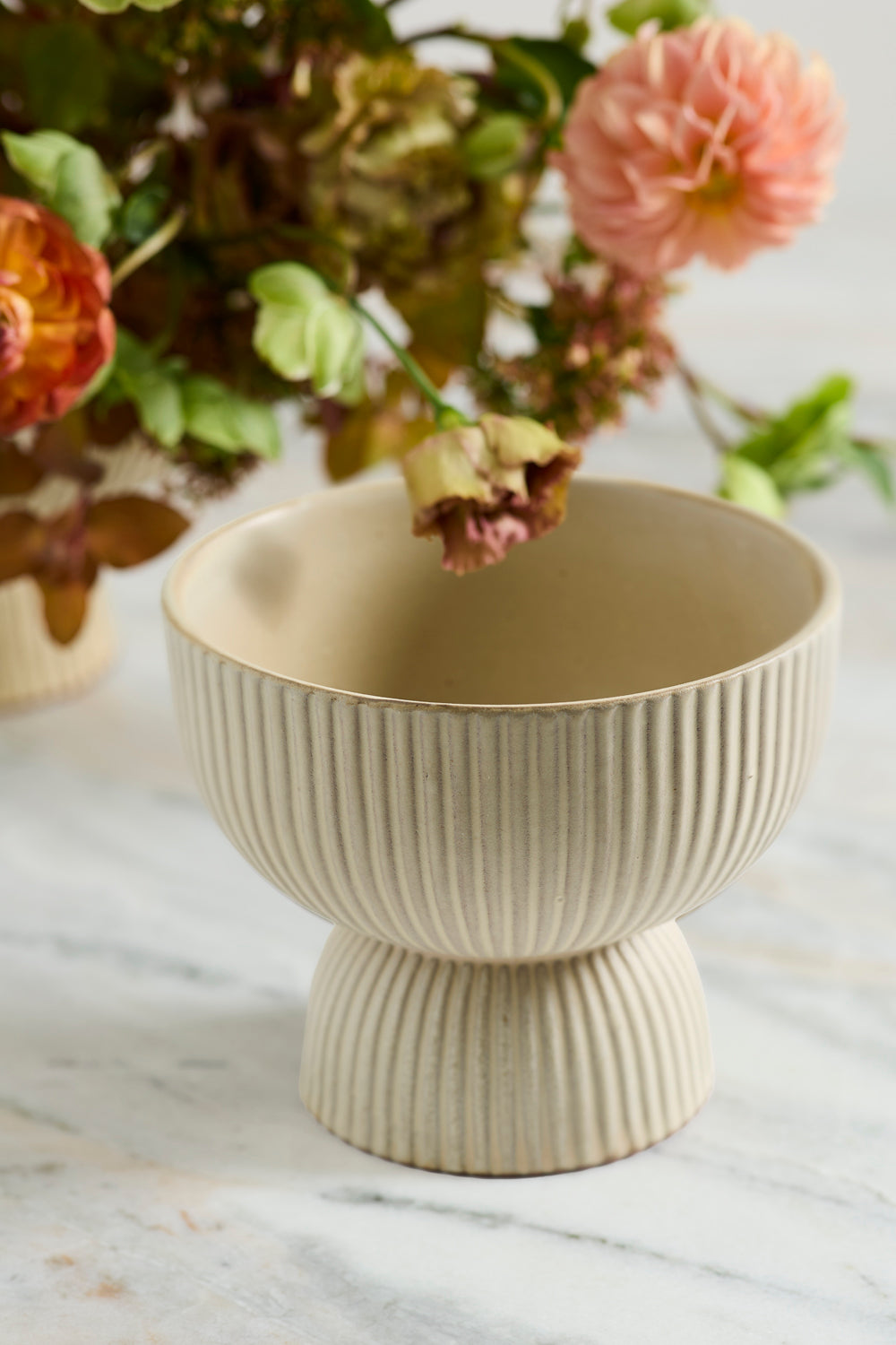 Thorn Compote