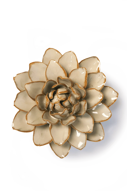 Starbrite Water Lily - Oatmeal