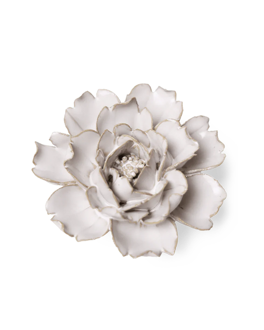 Rose - Ivory