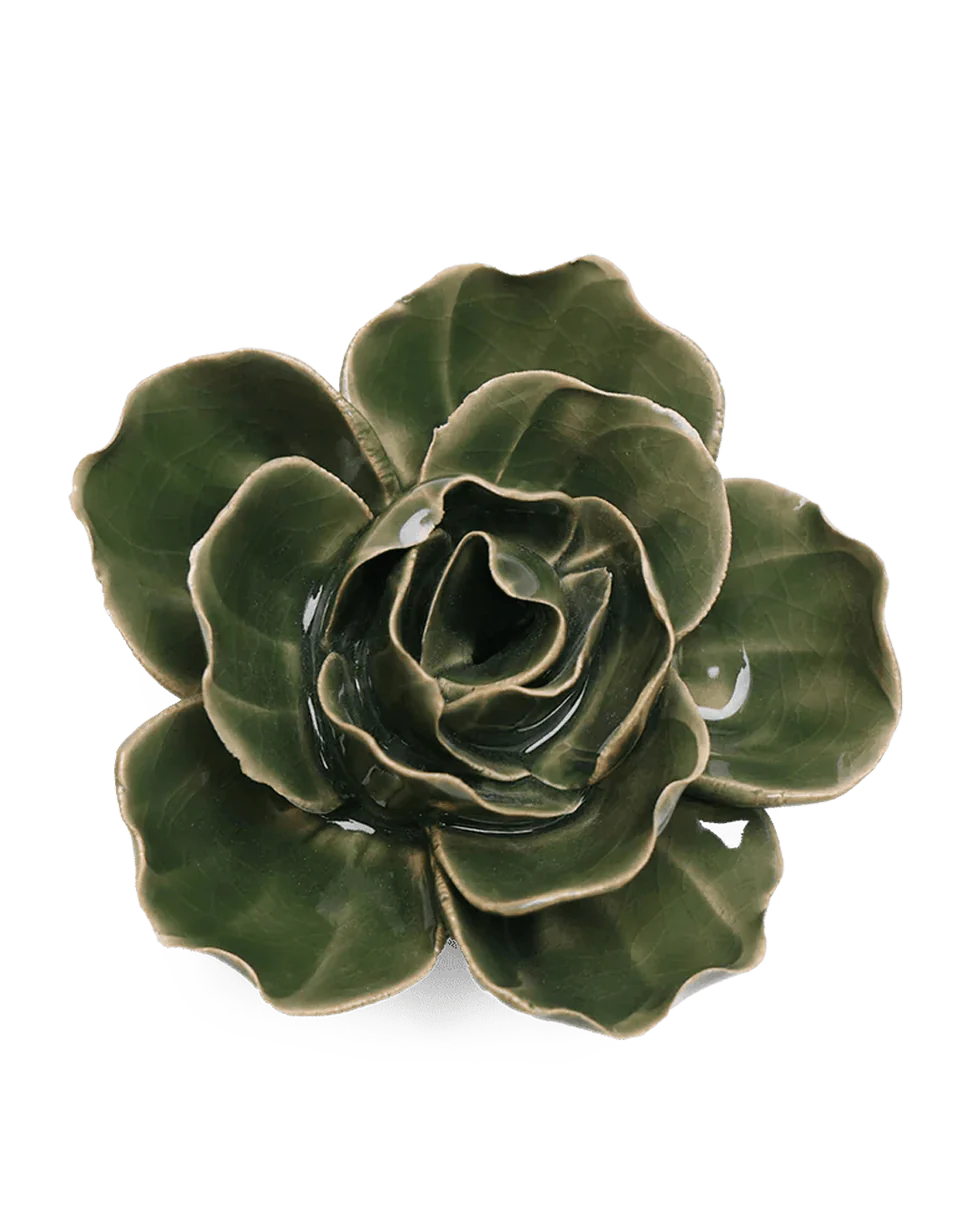 Butterfly Ranunculus - Fir Green