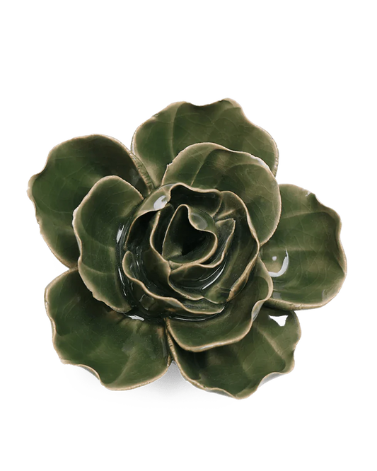 Butterfly Ranunculus - Fir Green