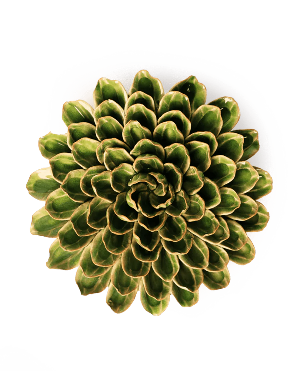 Unicorn Zinnia - Avacado