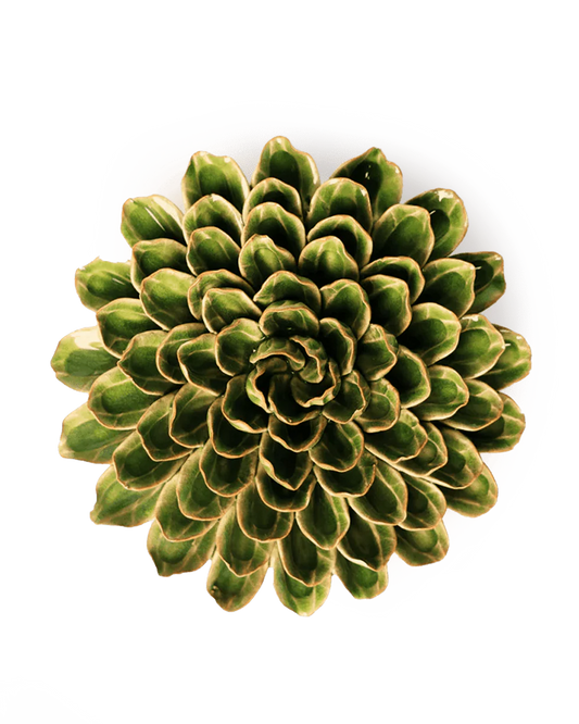 Unicorn Zinnia - Avacado