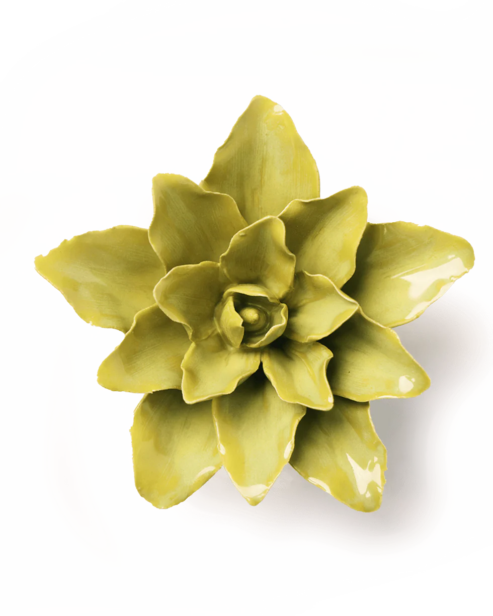Tiger Lily - Chartreuse