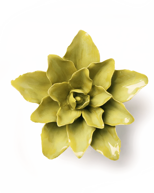 Tiger Lily - Chartreuse