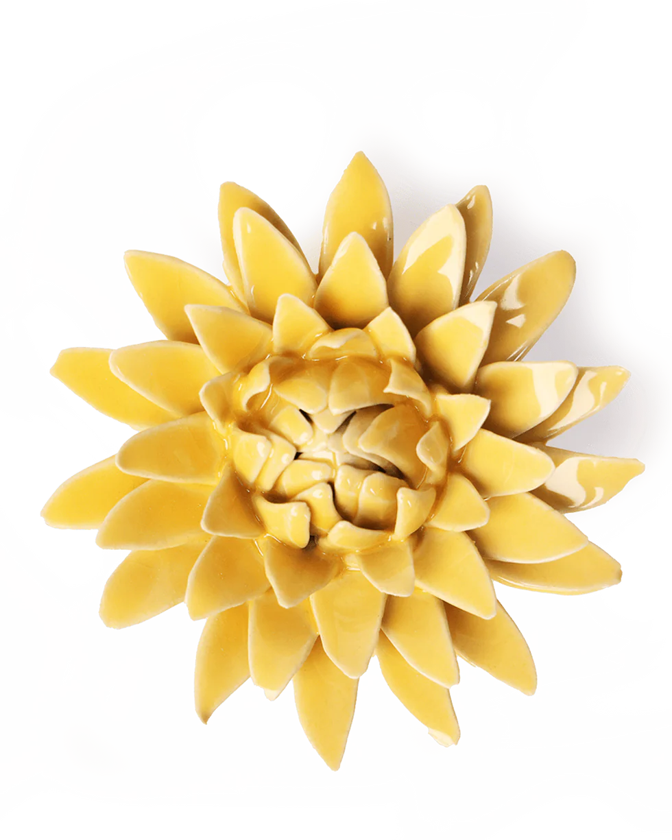 Strawflower - Burnt Yellow