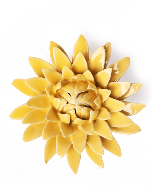 Strawflower - Burnt Yellow