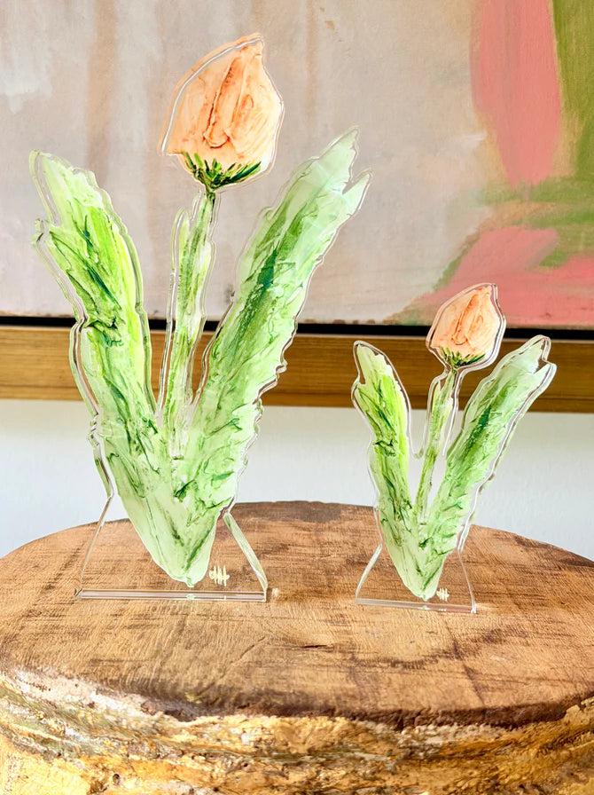 DHH Acrylic Tulip