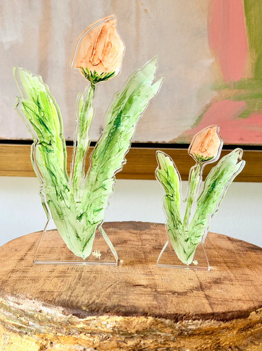 DHH Acrylic Tulip