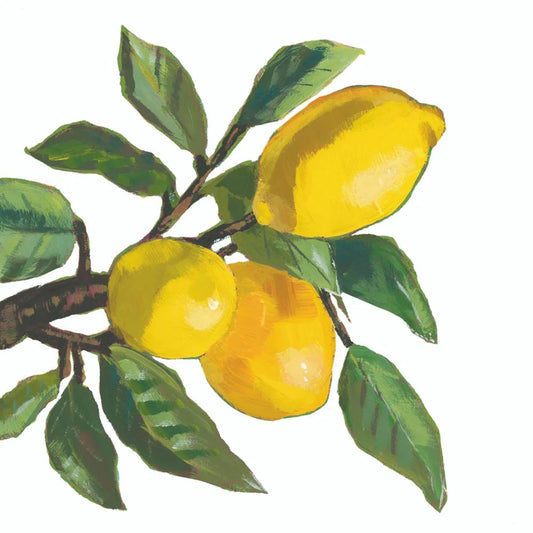 Lemon Musée Bev Napkin