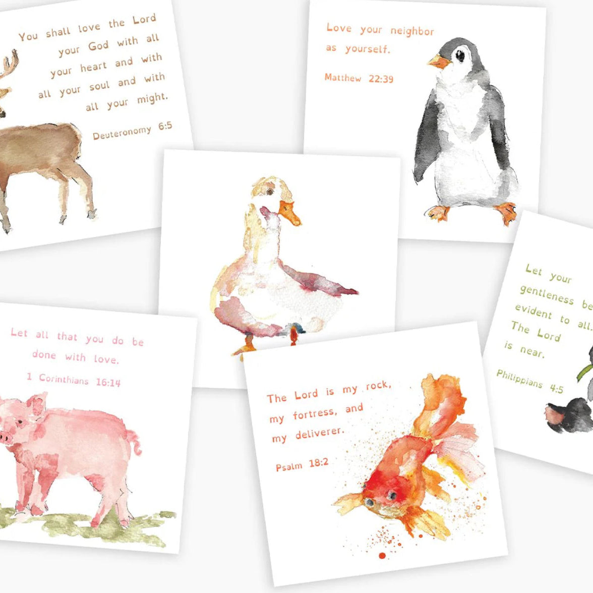 Children Scripture Cards