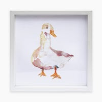 Framed Animal Print
