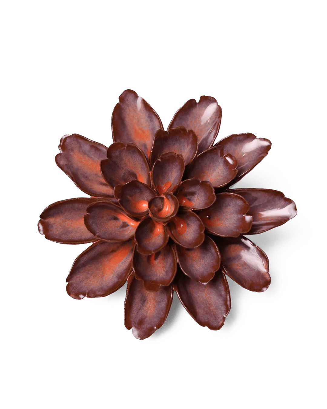 Cornflower - Peach Mocha