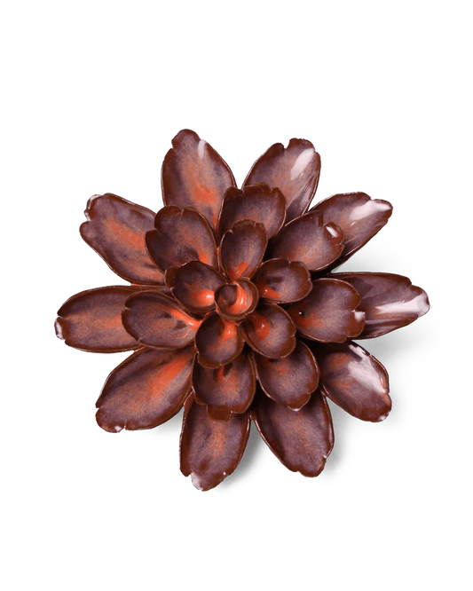 Cornflower - Peach Mocha