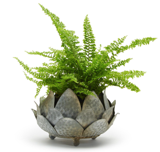 Artichoke Decorative Cache