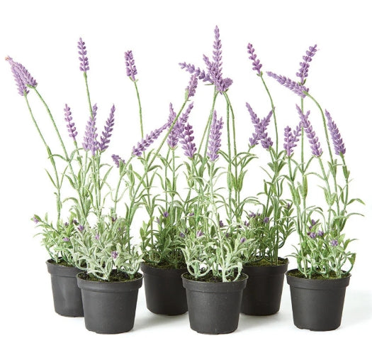 13" French Lavender Drop-In