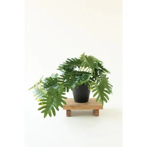 Artificial Mini Philodendron