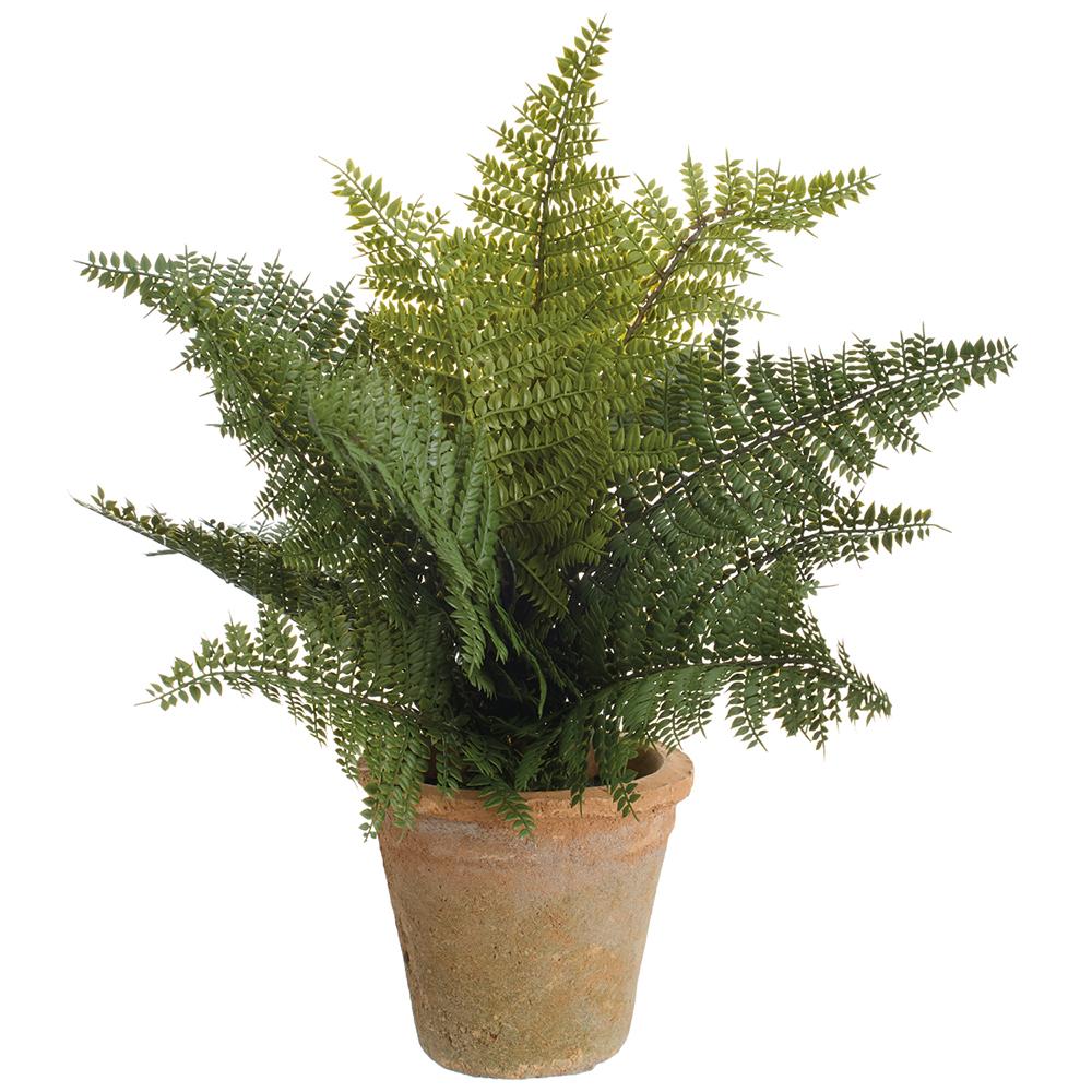 16"Soft PE Double Leather Fern in Clay Pot Green
