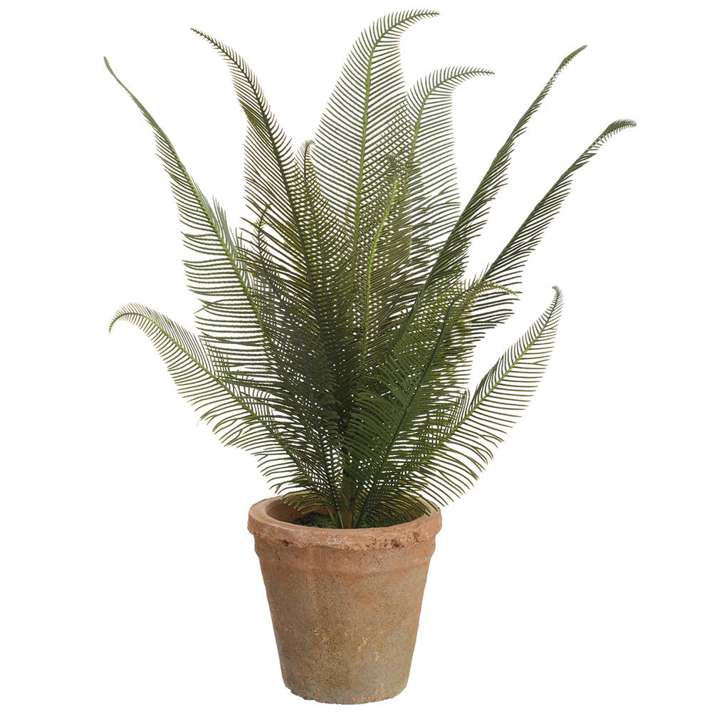 18"Cycas Palm in Clay Pot-Green