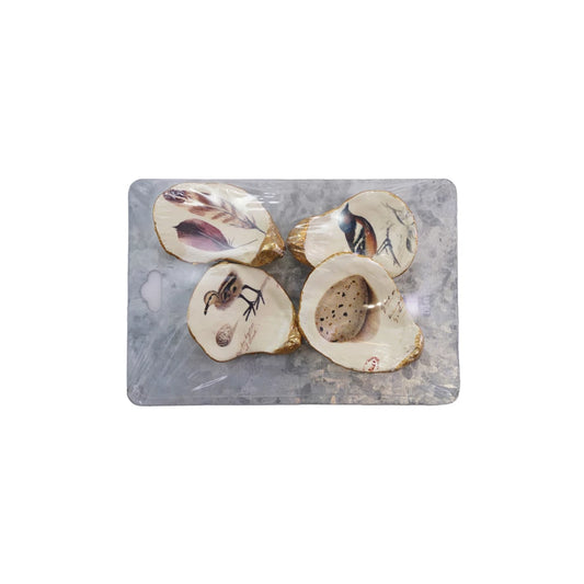 Oyster Shell Magnets S/4